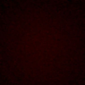 Meet your Posher, Leandra